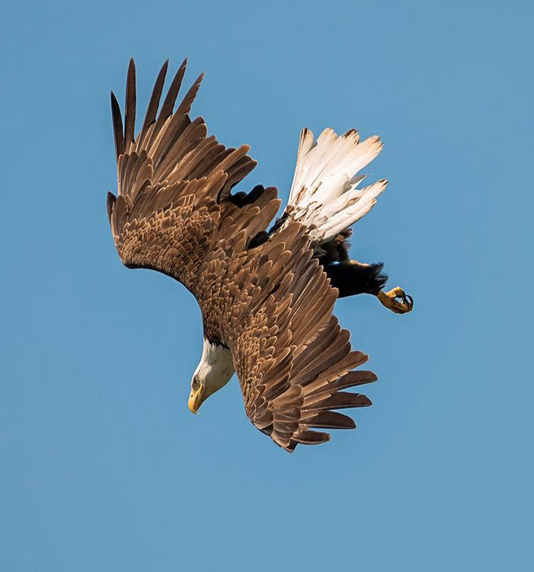 Fairview Hotels,Spa & Golf Resort主图