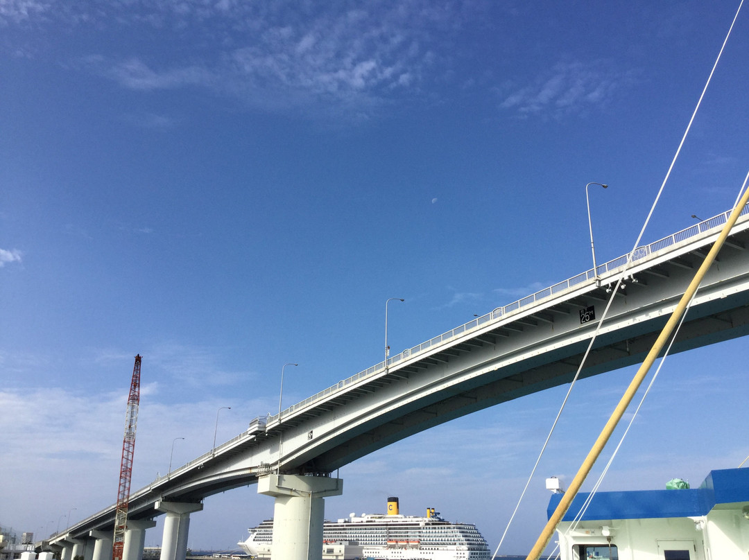 Ferry Tokashiki & Marin Liner Tokashiki景点图片