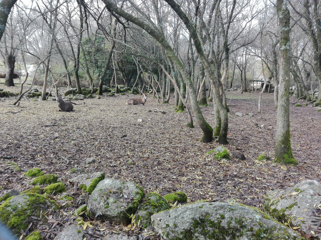 Cañada Real Centro de Naturaeza景点图片