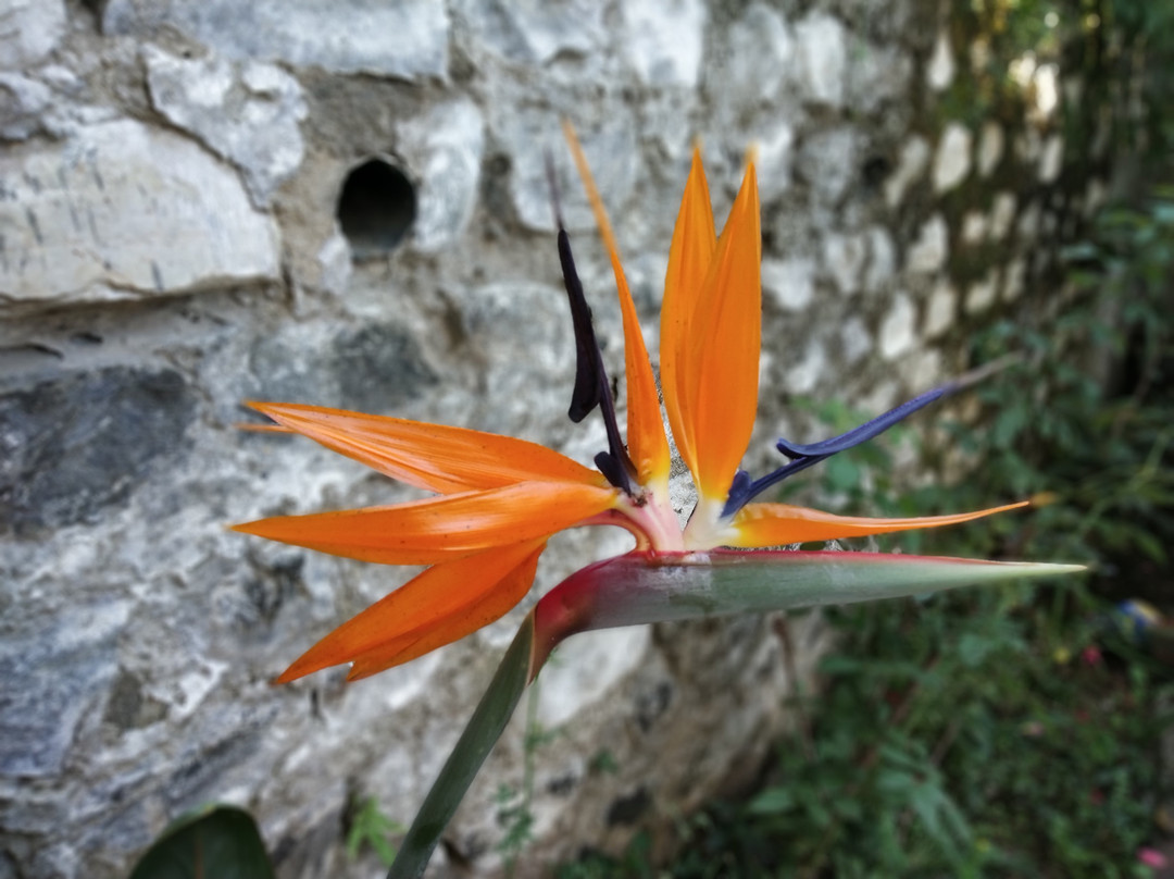 OYO 10154 47 Hill主图