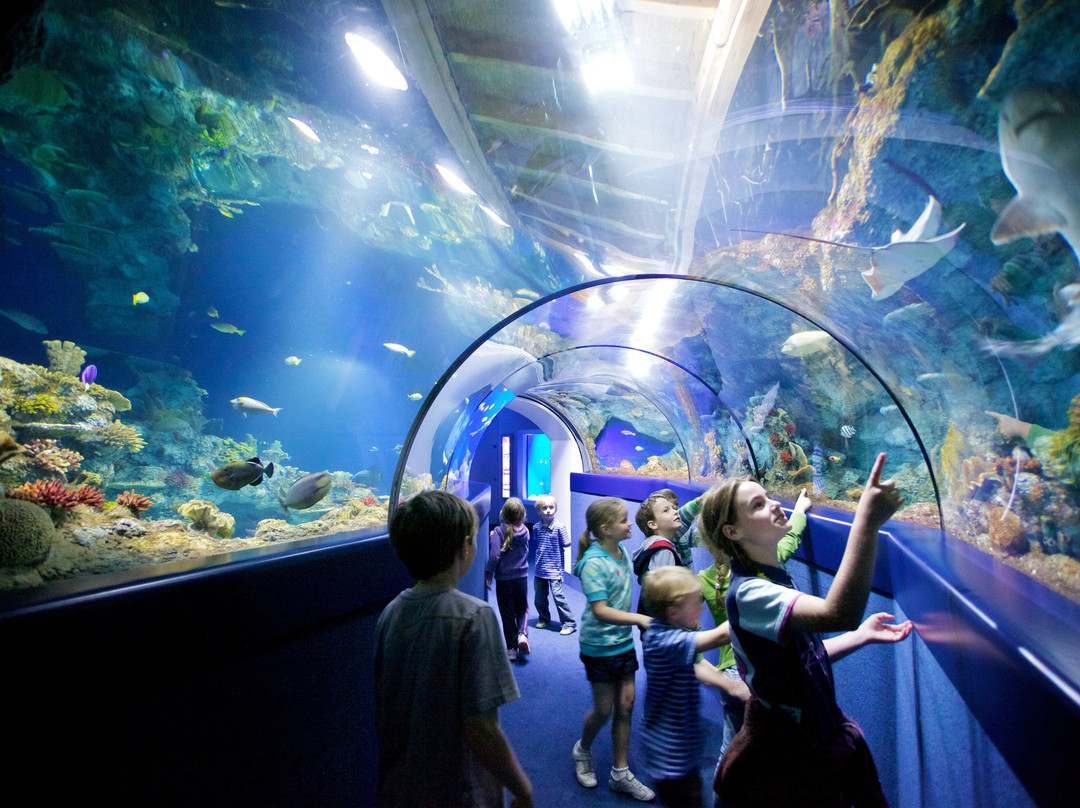 Bristol Aquarium