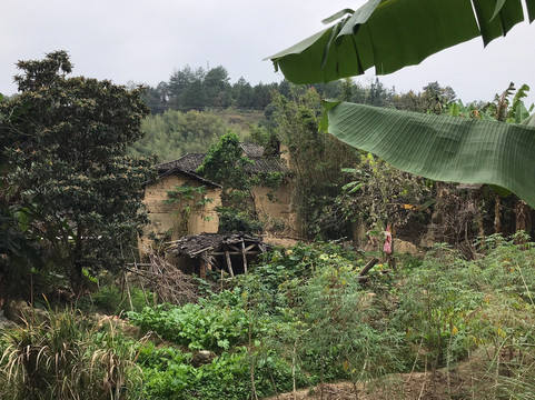 客家土楼王子大酒店主图