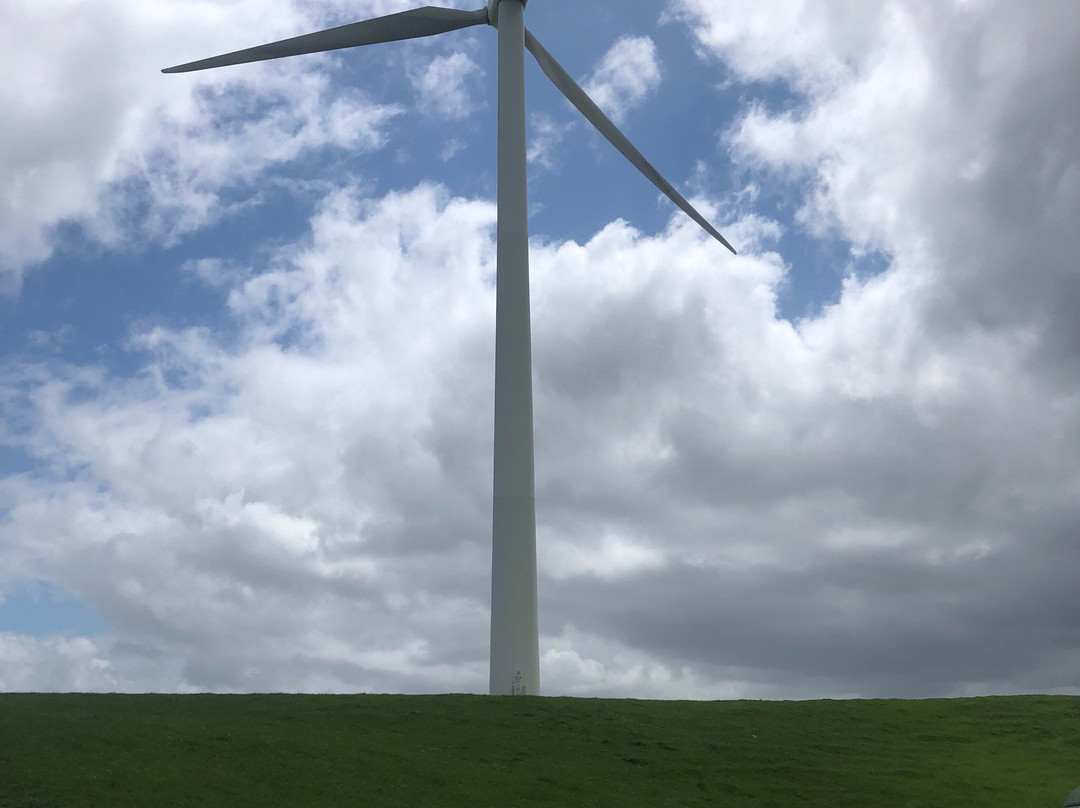 Toora Wind Farm-Toora必去景点