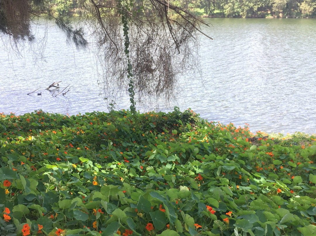 Nepean River景点图片