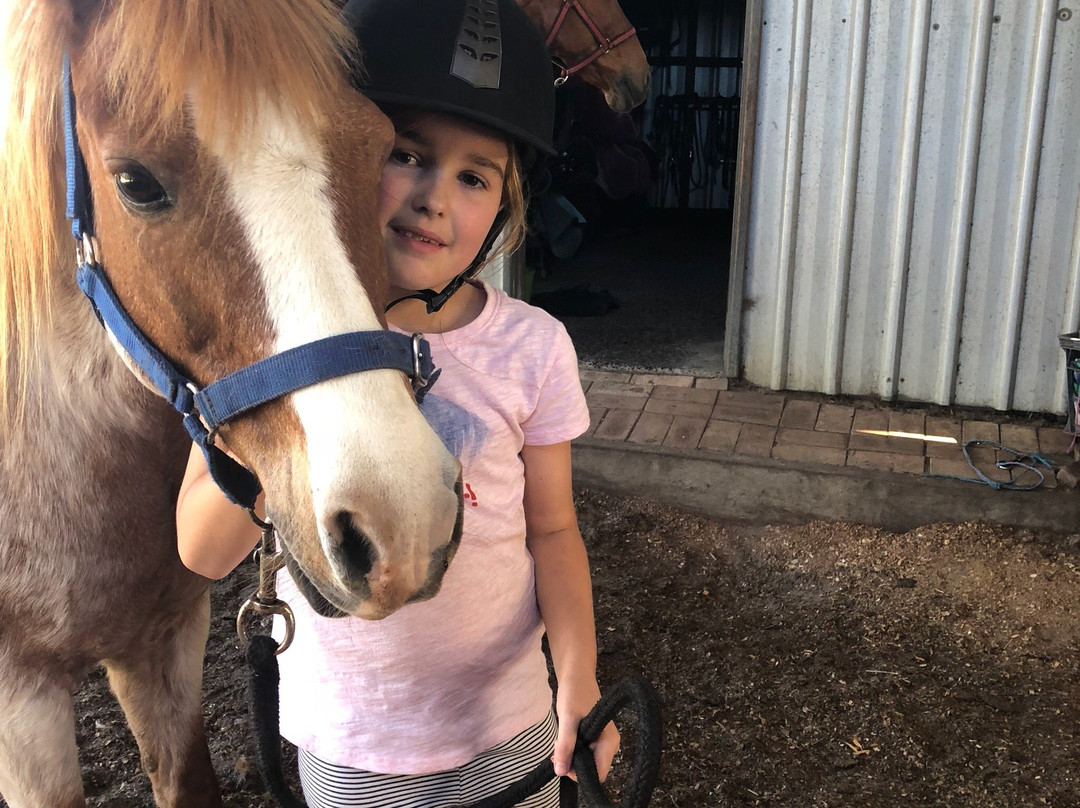 Mirravale Riding School-雅林角必去景点