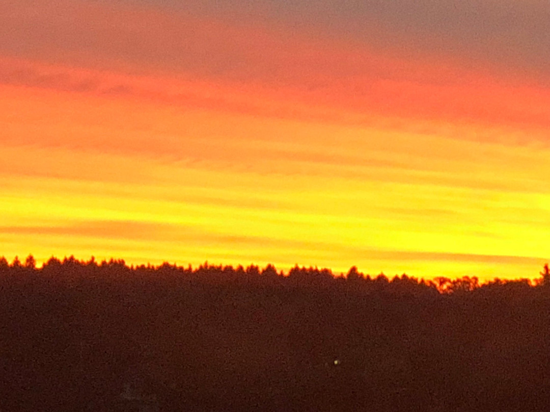 Seven Lakes Vineyard-Fenton必去景点