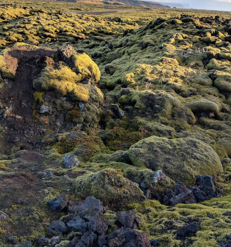 Scenic Green Lava Walk景点图片