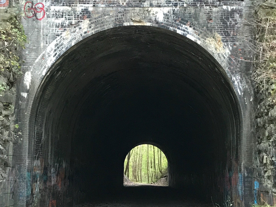 Moonville Tunnel景点图片