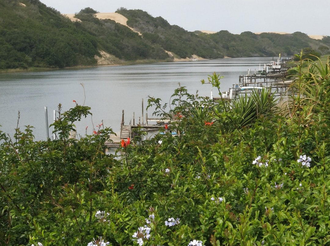 Dungbeetle River Lodge主图