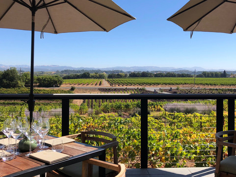 Wine Country Car And Driver-圣罗莎必去景点