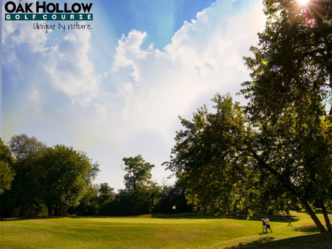 Oak Hollow Golf Course-麦金尼必去景点