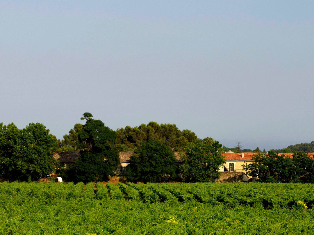 Château de Fourques景点图片