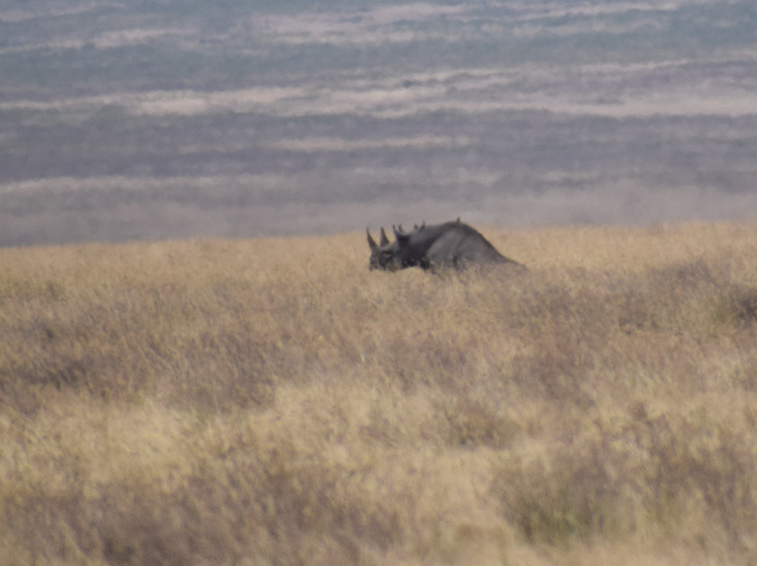 Wakawaka Adventures-卡拉图必去景点