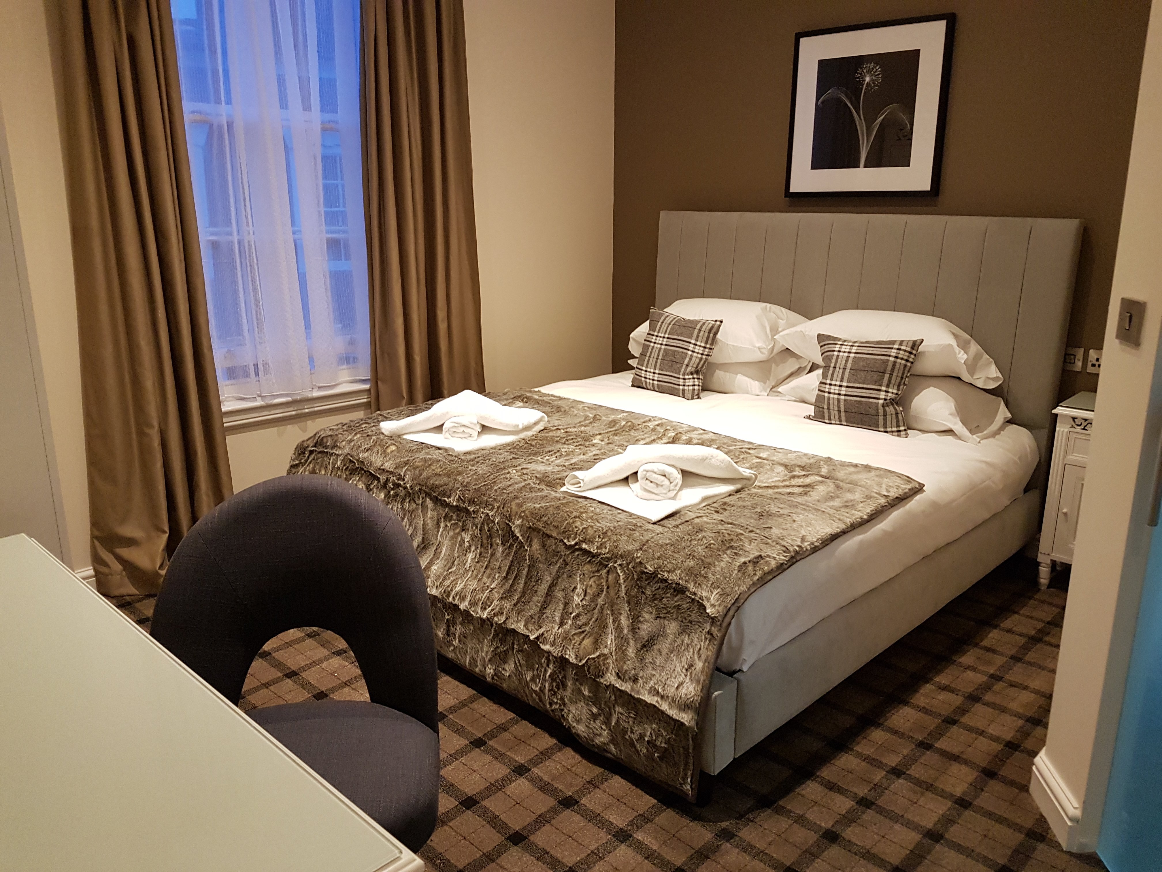 The Lion Hotel-官方