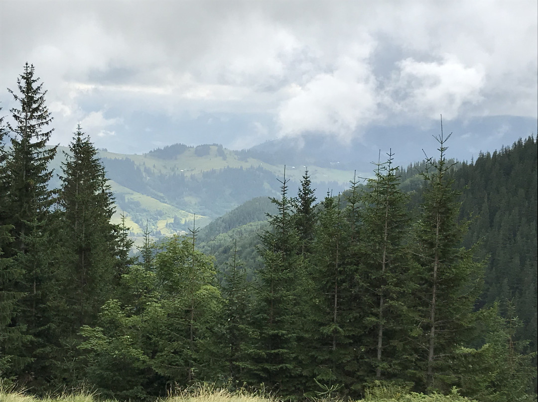 Carpathian National Nature Park-Yaremche必去景点