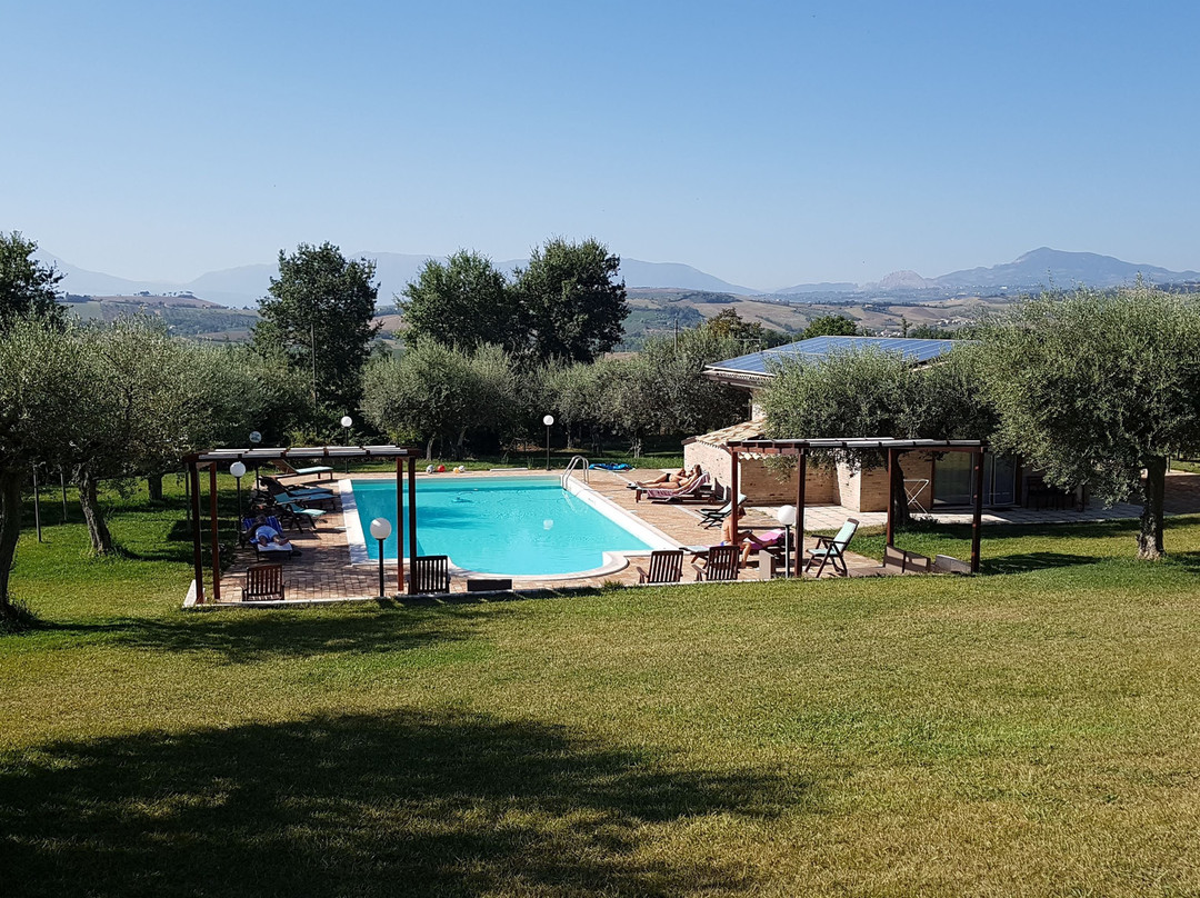 Agriturismo Olivuccia主图