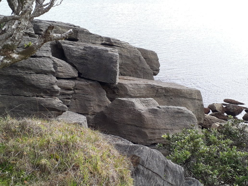 Waipu Coastal Trail景点图片