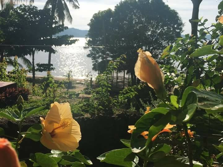 Southdrive Beach Resort主图