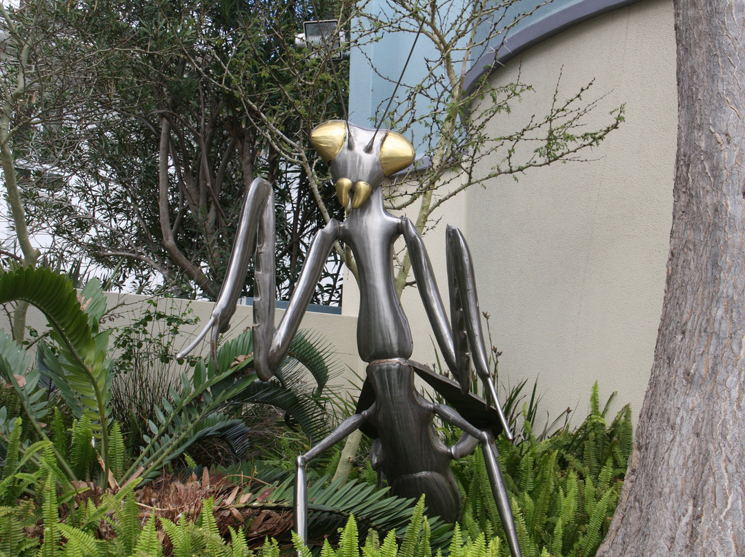 沙姆瓦里联排别墅酒店主图