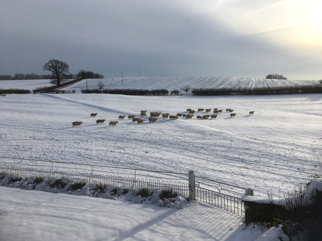 Broughton Grounds Farm Bed & Breakfast主图