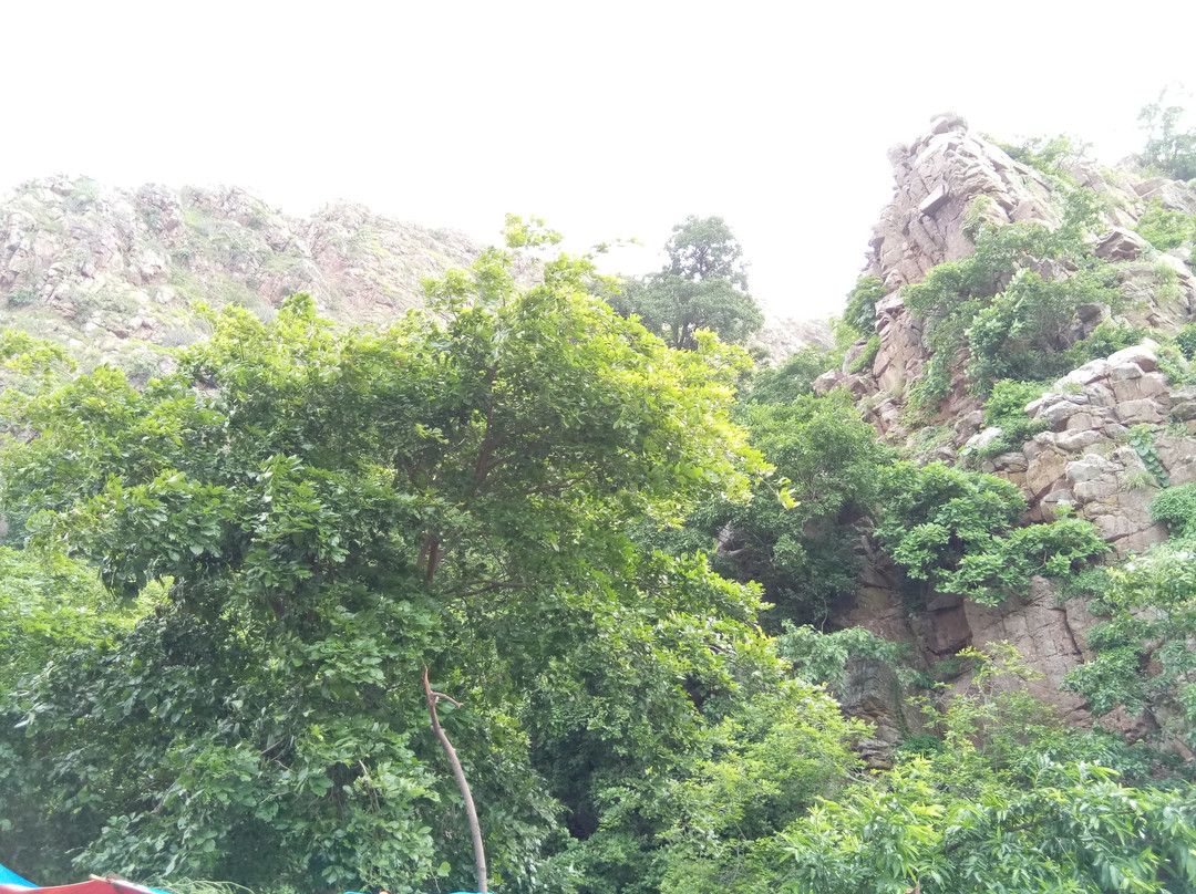 Hathni Mata-瓦都达拉必去景点