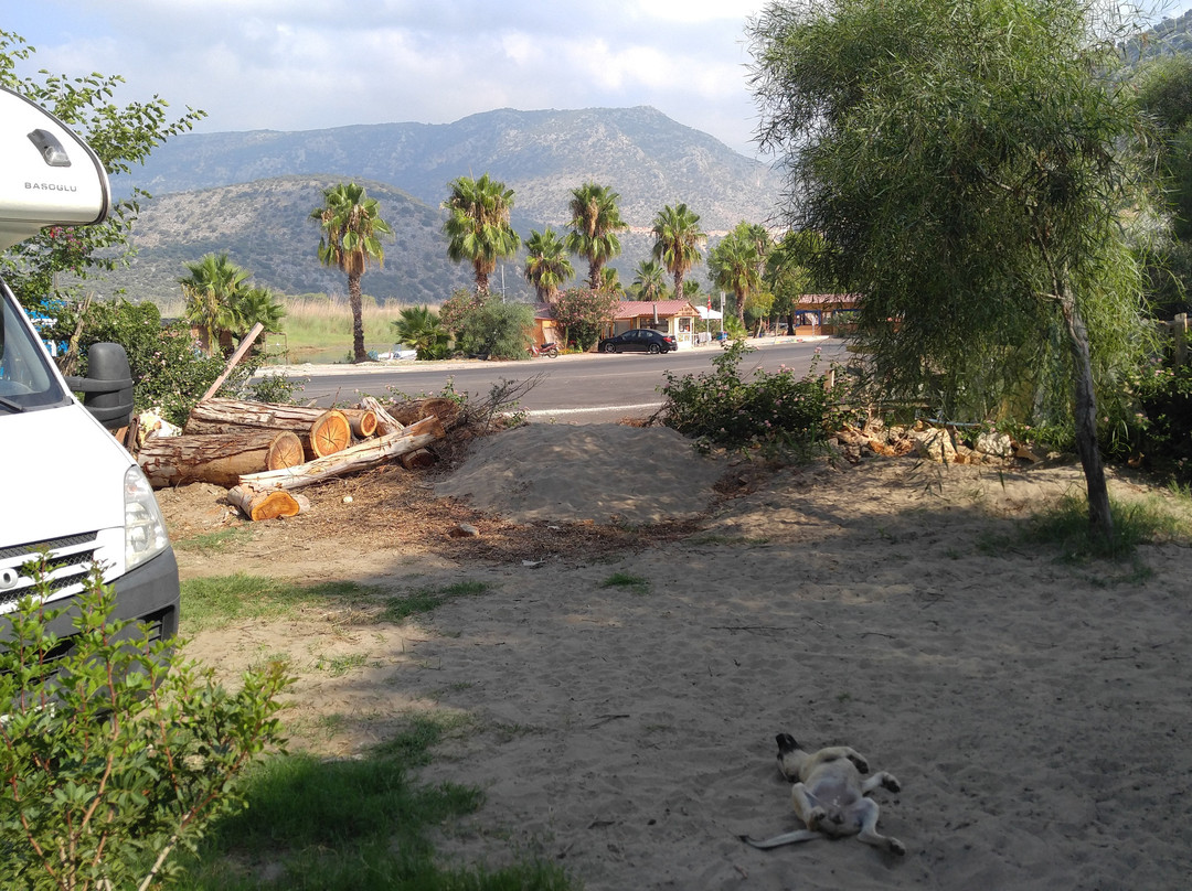 Andriake Camping