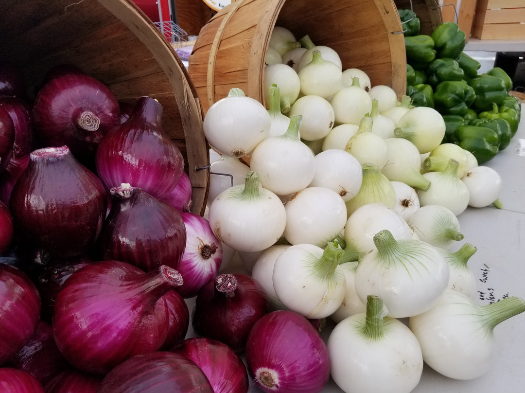 Hamburg Farmers' Market-Hamburg必去景点