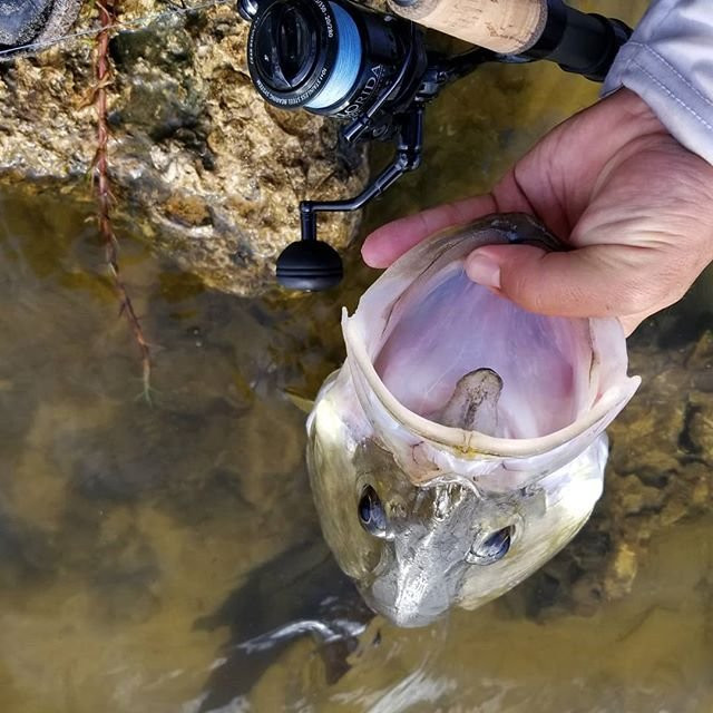 Everglades Fishing Co-大沼泽地必去景点