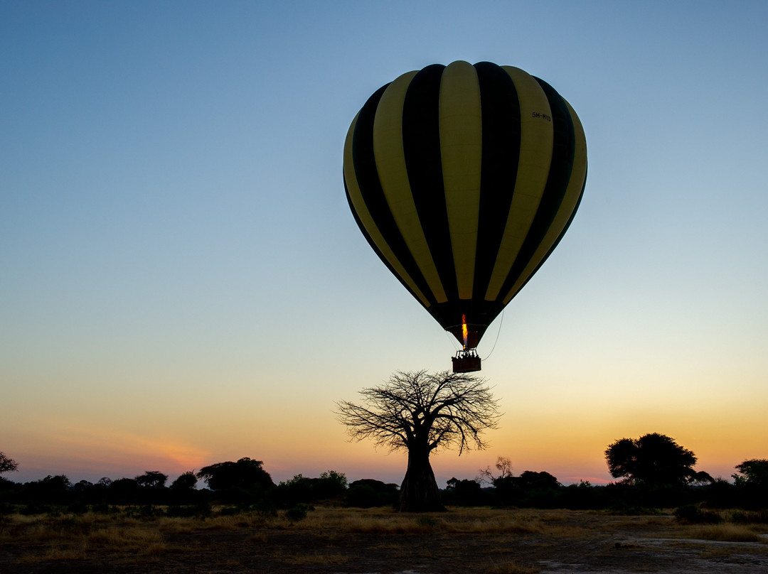 Serengeti Balloon Safaris景点图片