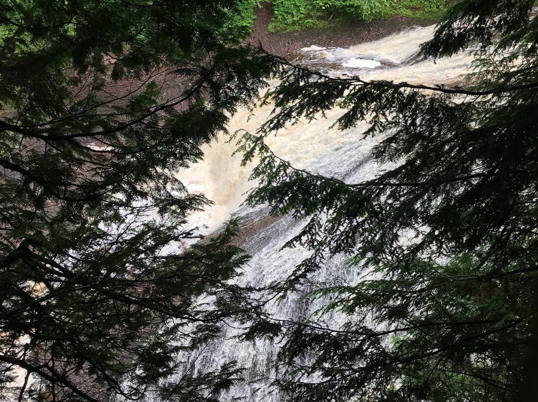 Ottawa National Forest-Ironwood必去景点