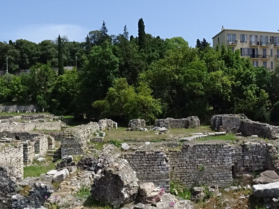 Parc des Arènes de Cimiez景点图片
