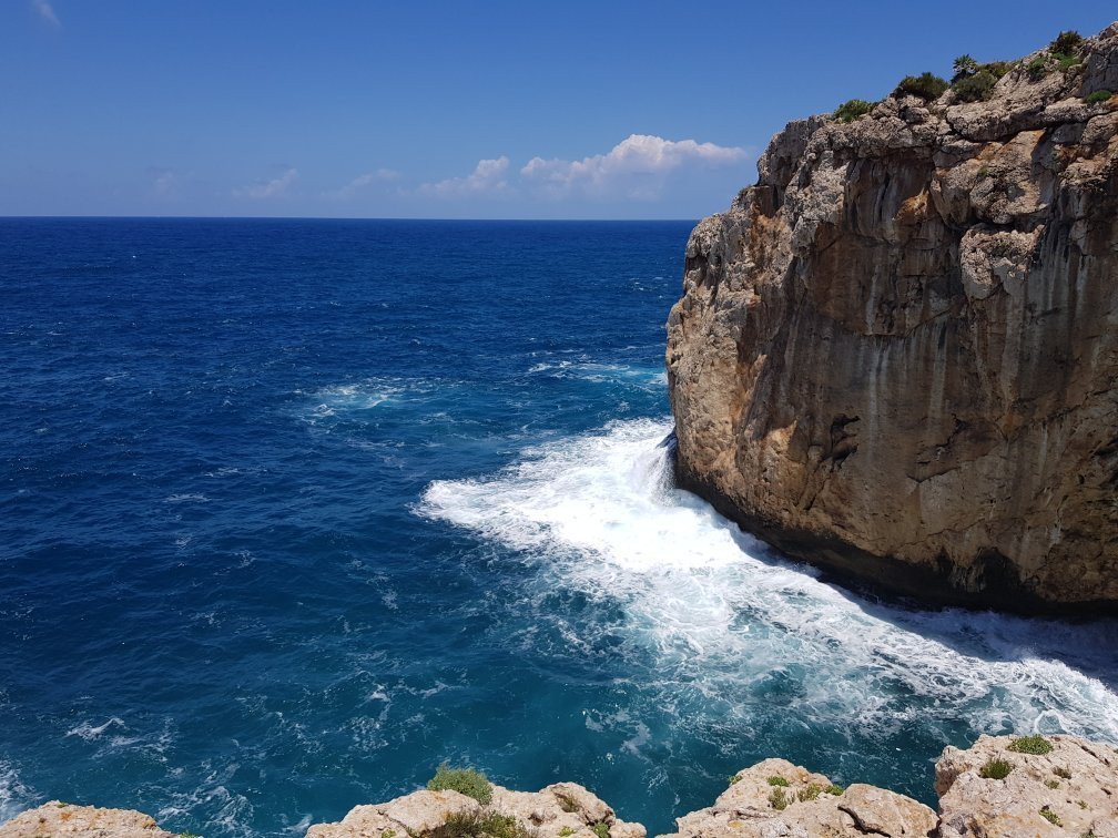 Riserva Naturale Orientata - Capo Rama-Terrasini必去景点