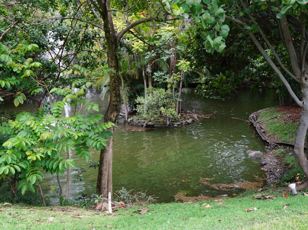 Club de Golf de Cuernavaca景点图片