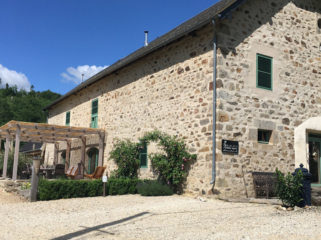 Les 5 Petits Lapins主图