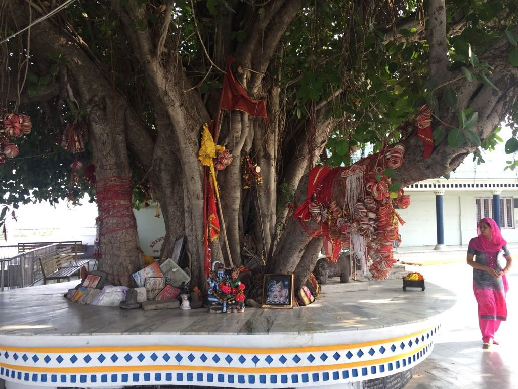 Kathgarh Temple-Pathankot必去景点