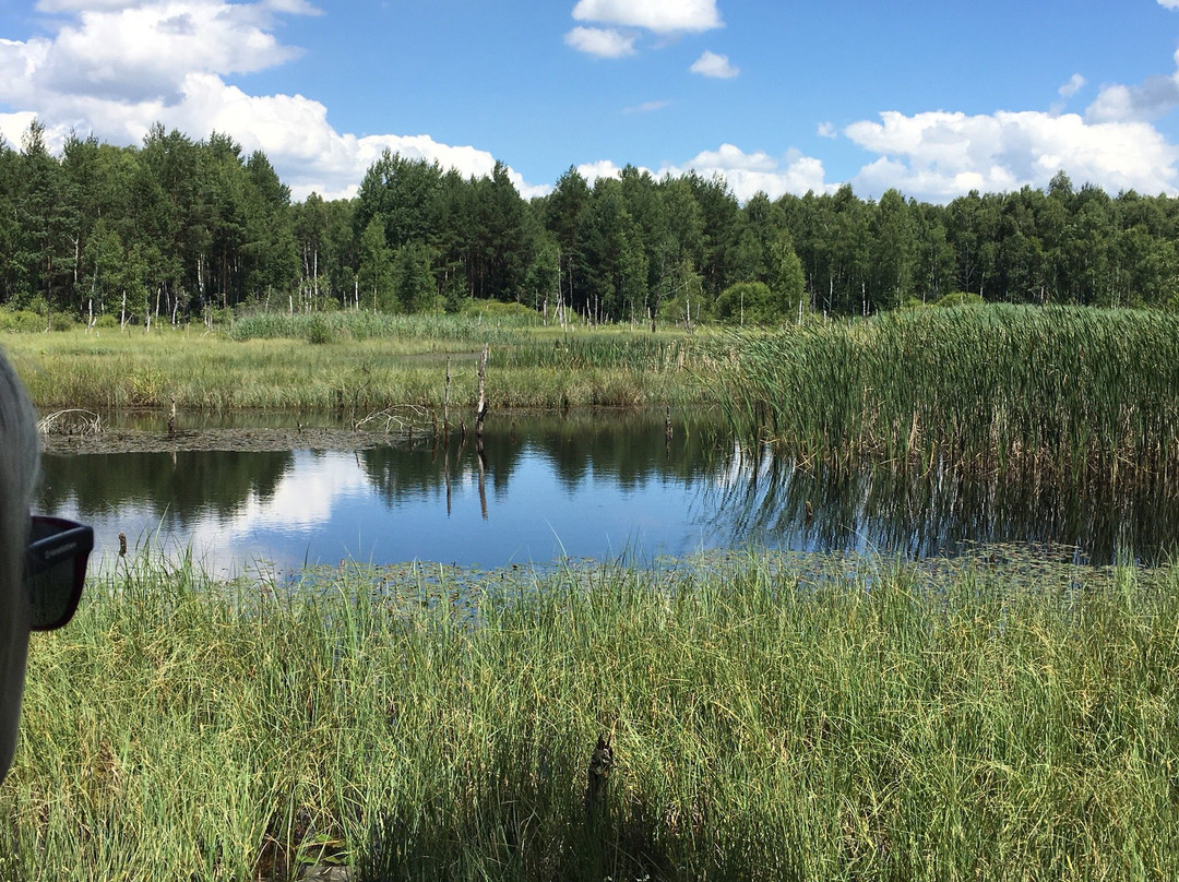 Marshland Nature Reserve Borkovicka景点图片