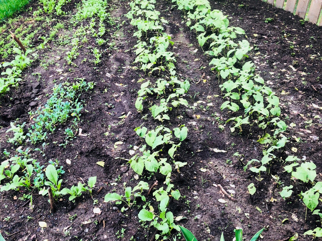 The Grateful Bed B'n'B主图