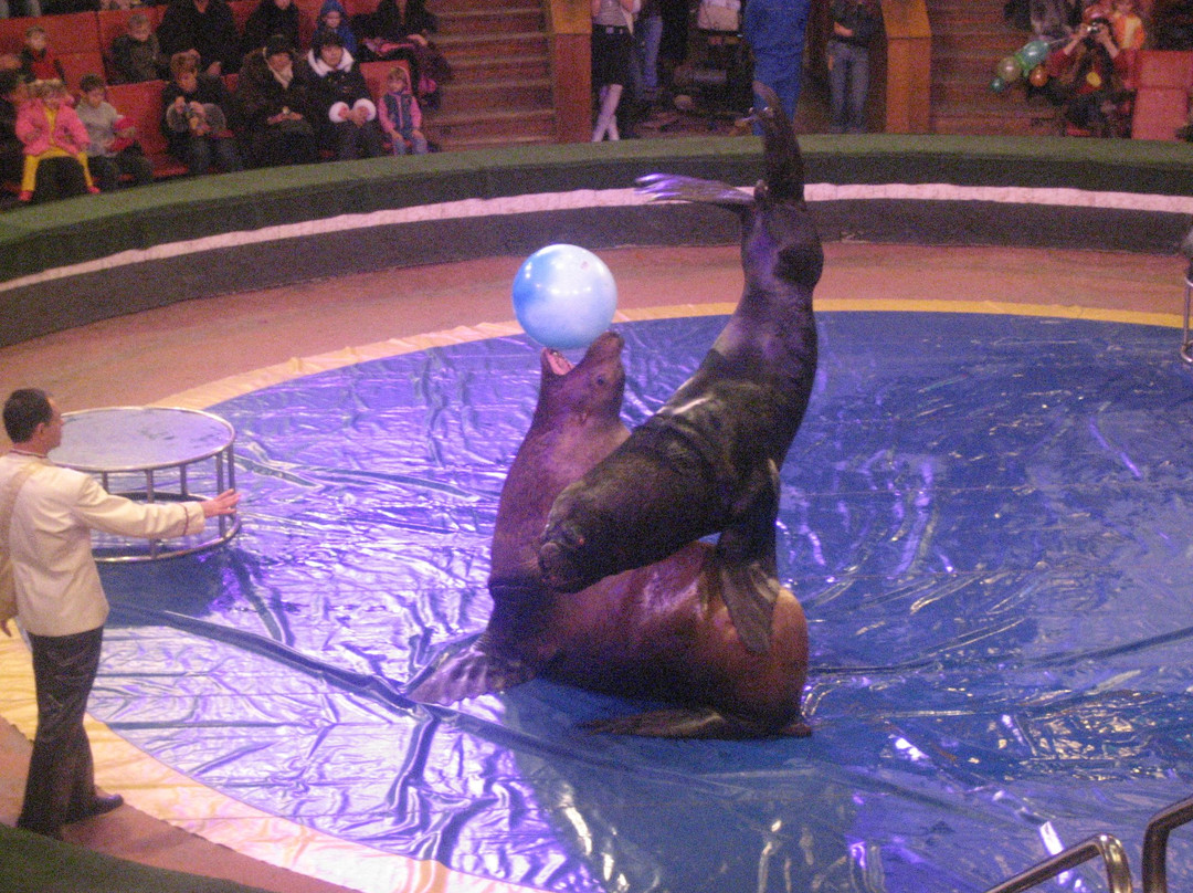 Stavropol State Circus景点图片