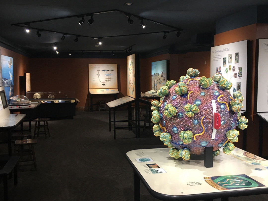 Biodiversity Institute and Natural History Museum-劳伦斯必去景点