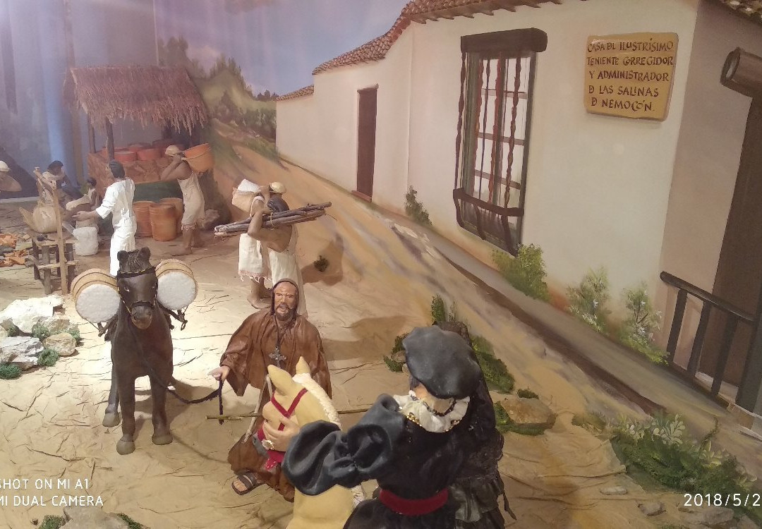 Museo de la Sal景点图片