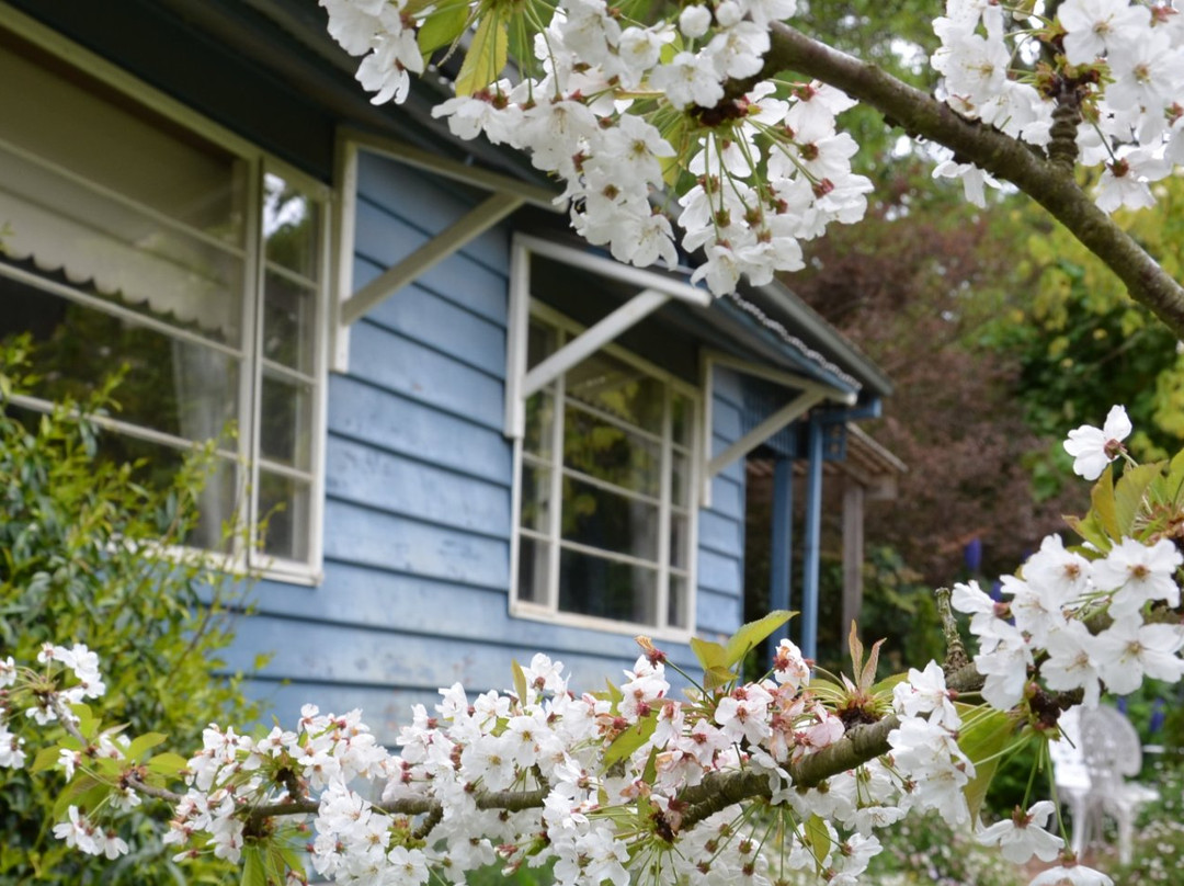 Summerhill Farm Bed & Breakfast主图