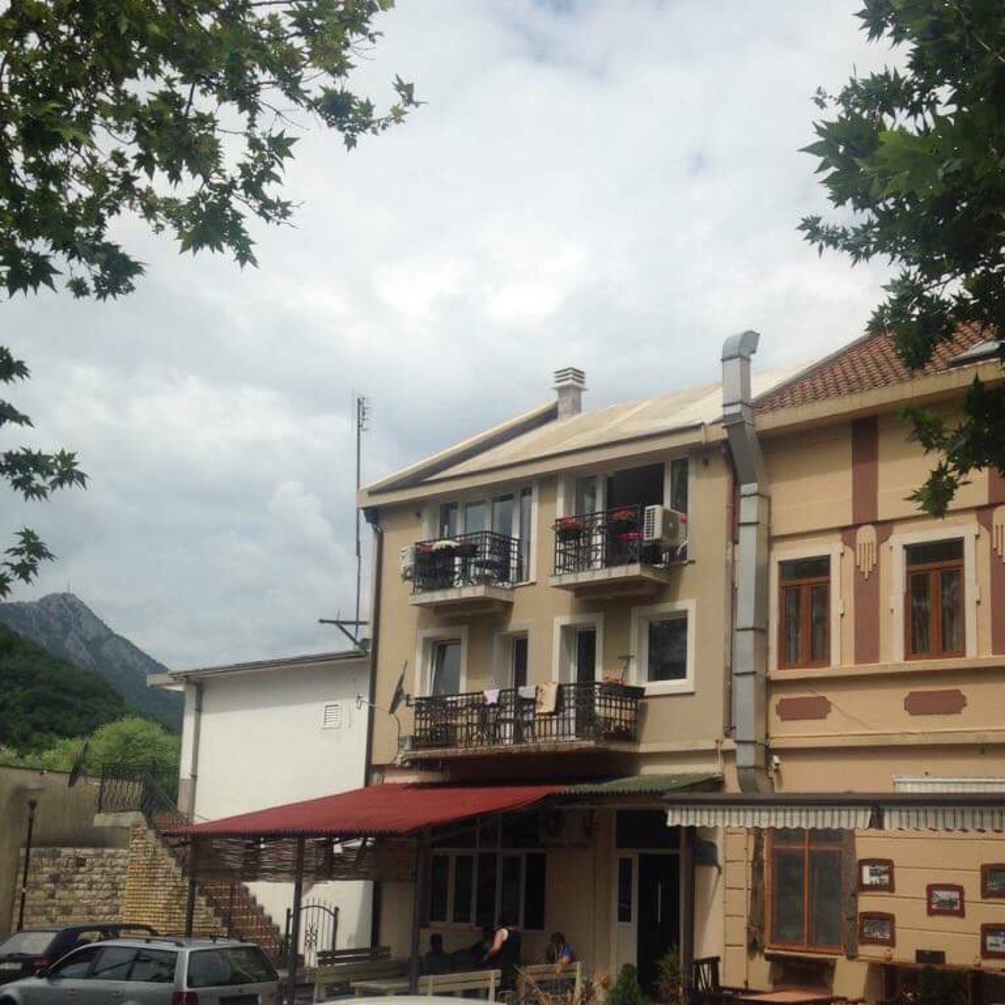 Vida's House-官方