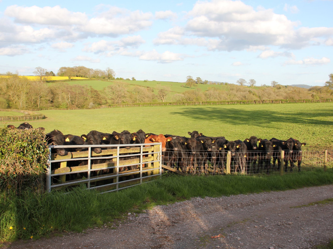 Penylan Farm Cottages主图