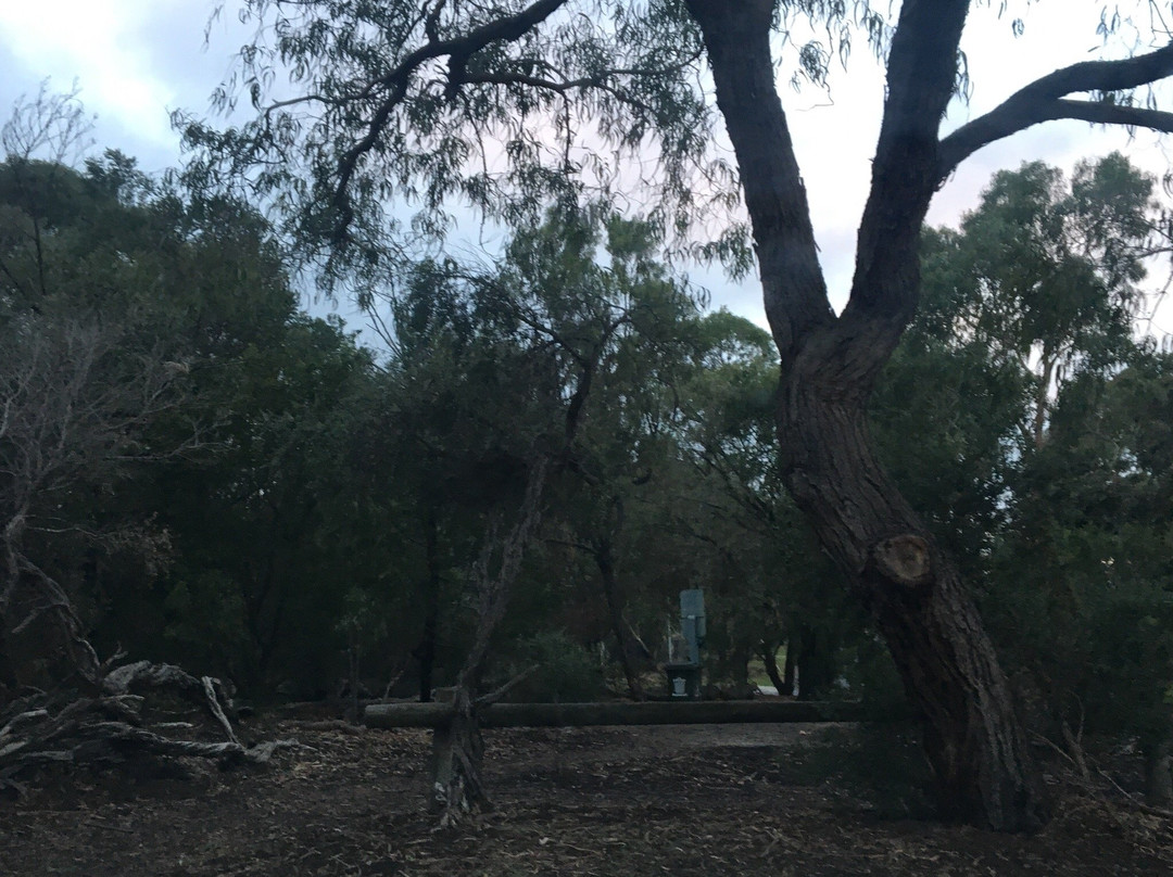 Merindah Park-Sandringham必去景点