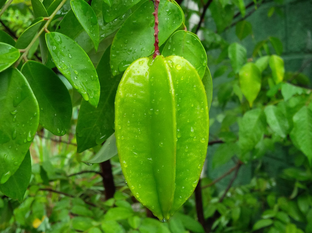 Dad's Holiday Home主图