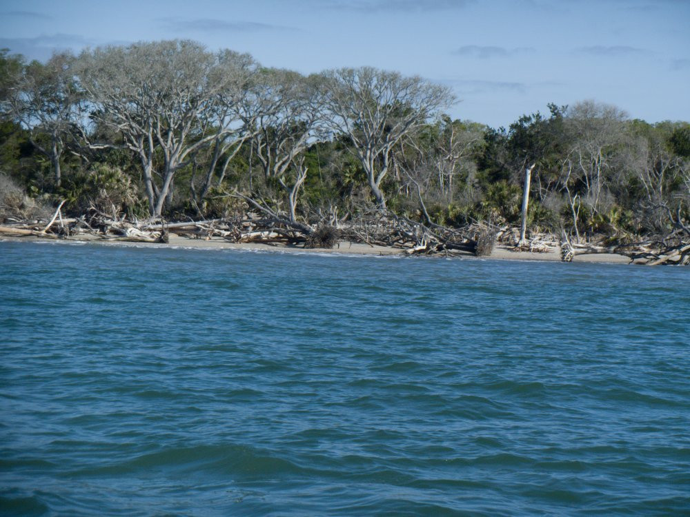 Edisto Saltwater Tours景点图片