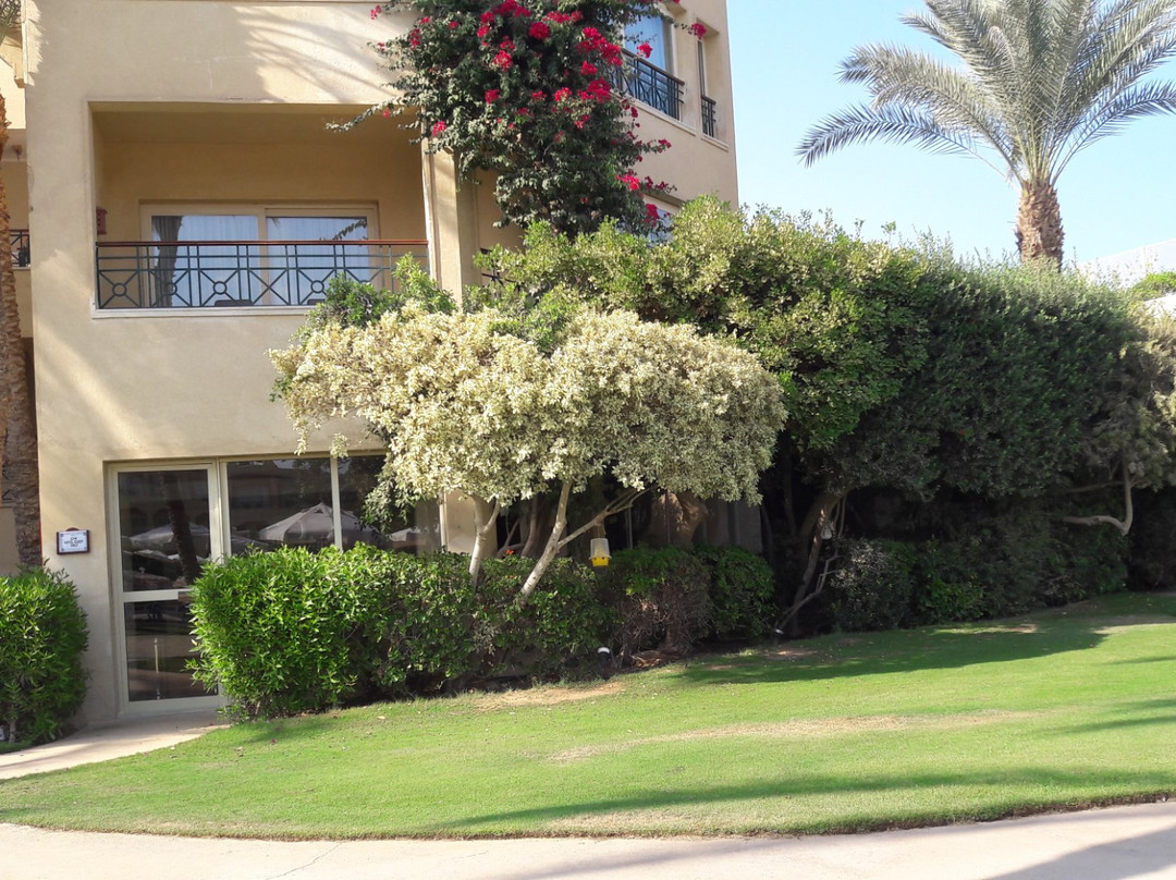 Stella Sea Club Hotel主图