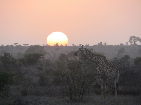 Bubezi Safaris, Tours & Transfers-雾观必去景点