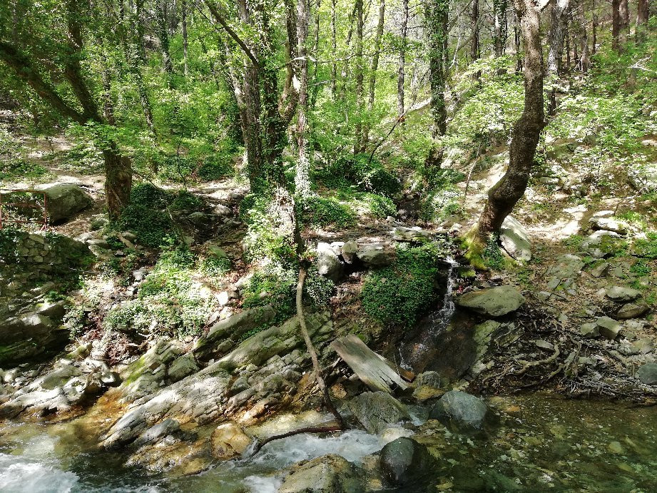 Hasanboguldu Selalesi-Zeytinli必去景点