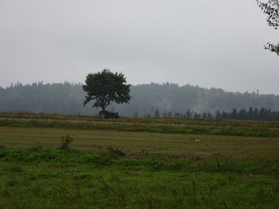 Rezerwat przyrody Góra Dobrzeszowska景点图片
